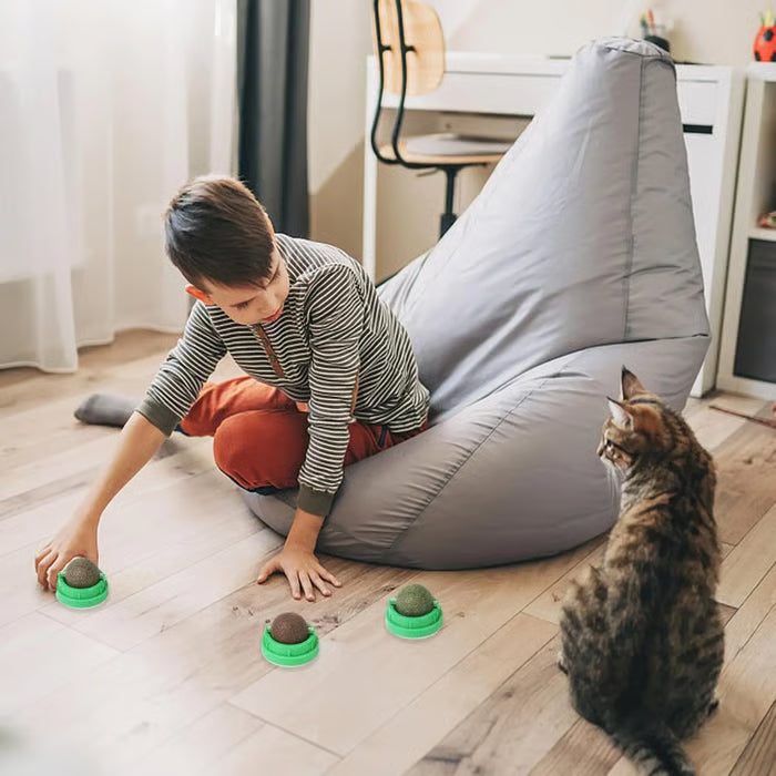 😺BUY 1 GET 1 FREE,Happy Cat, Healthy Life: 🐾4-Flavor Self-Adhesive Catnip Balls