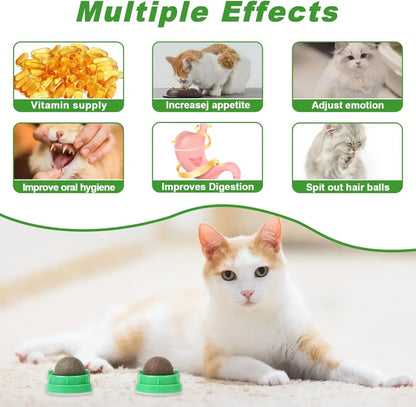 😺BUY 1 GET 1 FREE,Happy Cat, Healthy Life: 🐾4-Flavor Self-Adhesive Catnip Balls
