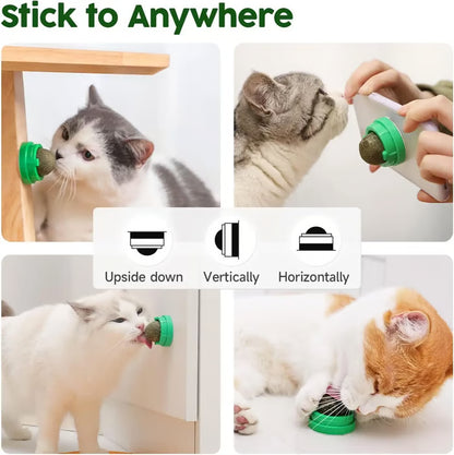😺BUY 1 GET 1 FREE,Happy Cat, Healthy Life: 🐾4-Flavor Self-Adhesive Catnip Balls